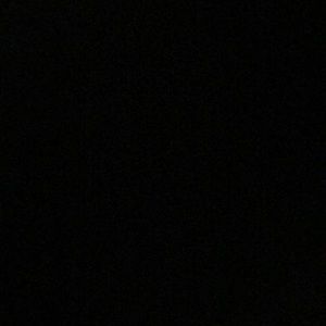 Meet your Posher, Dyllan